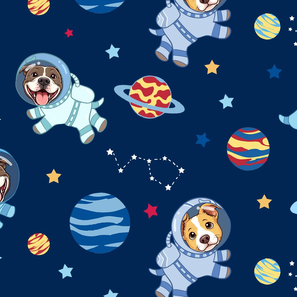 Astronaut Custom Pet Image Family Matching
