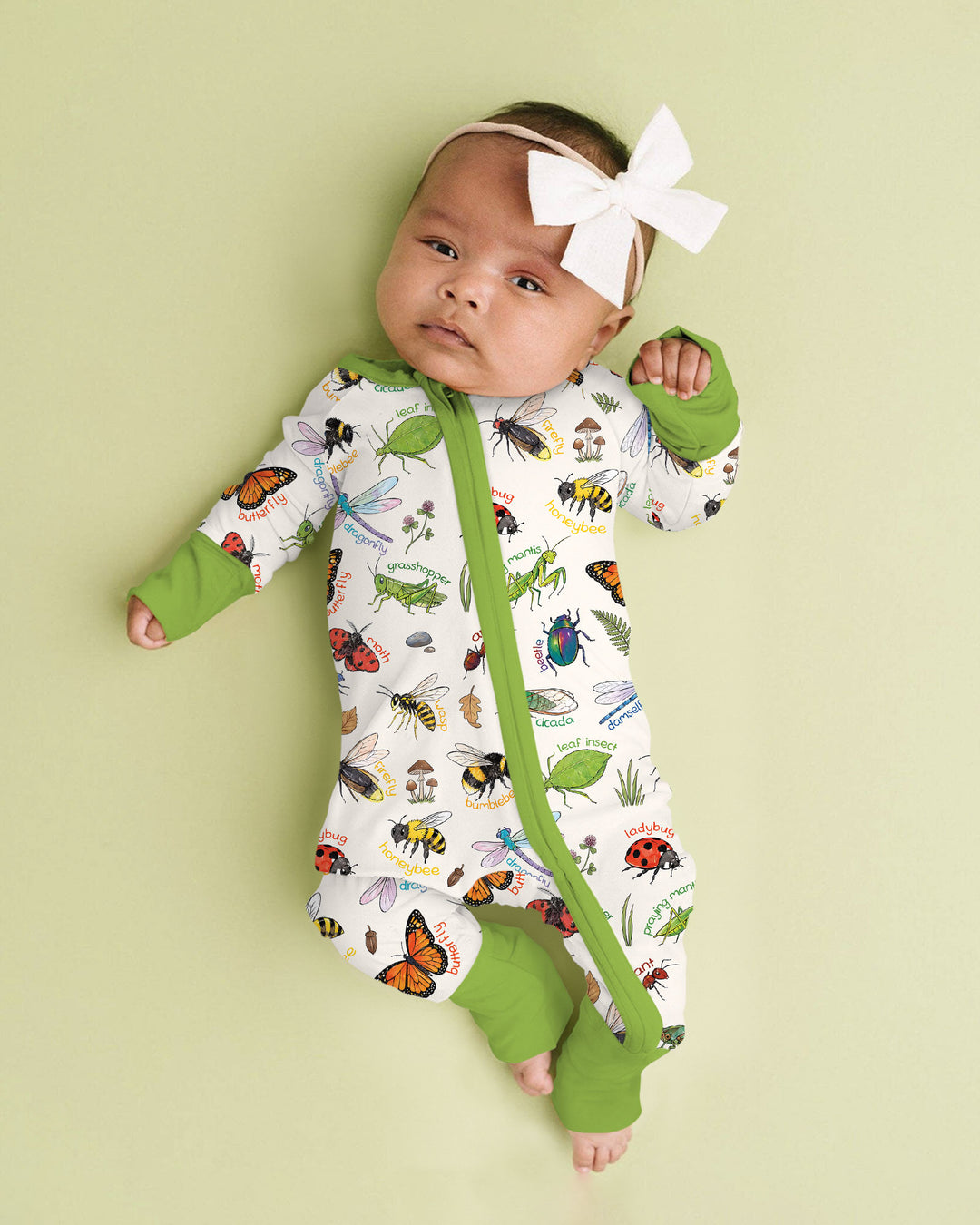 Bug Learning Bamboo Convertible Zippy