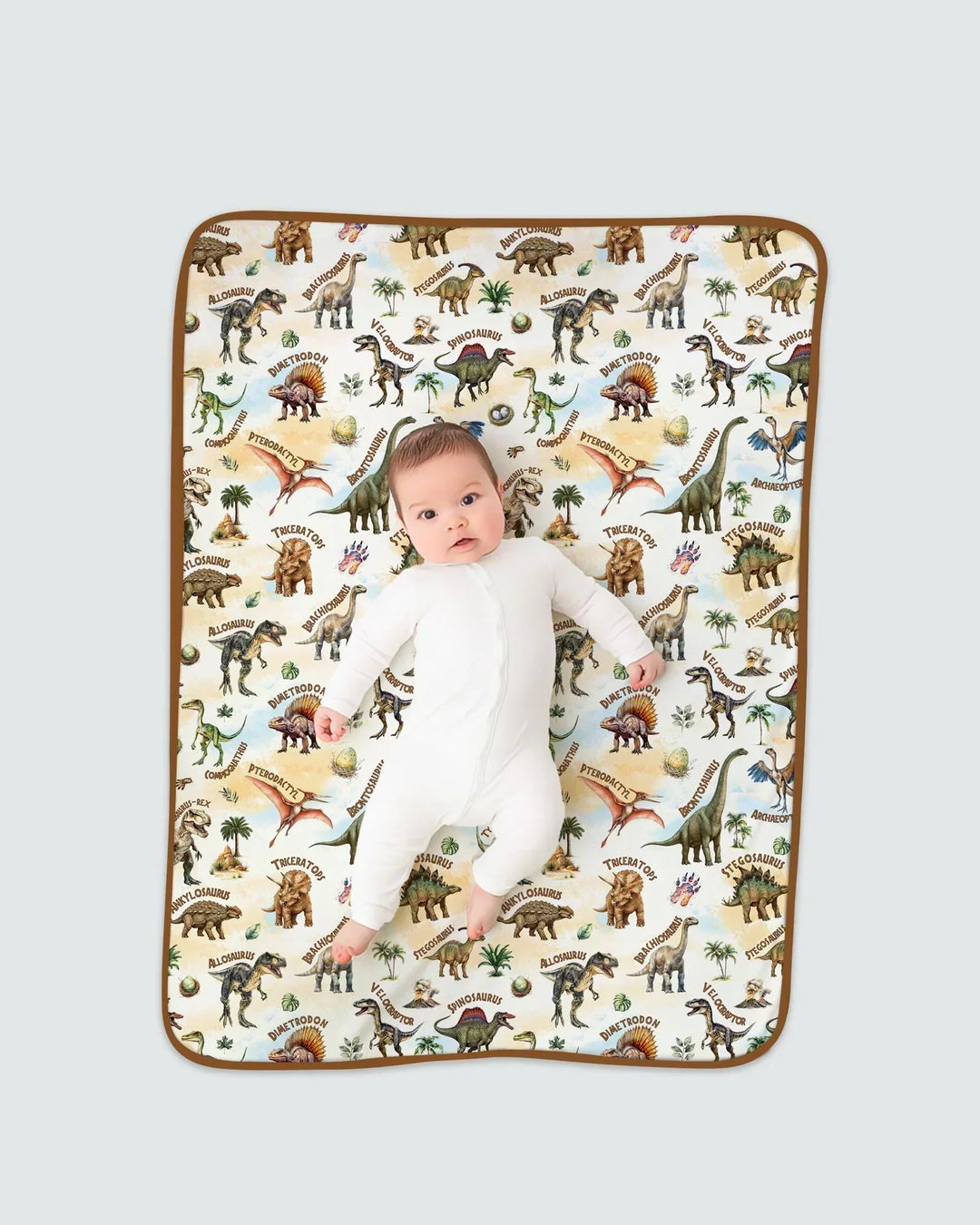 Dino Discovery Bamboo Blanket