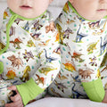 Dino Dreamland Bamboo Convertible Zippy