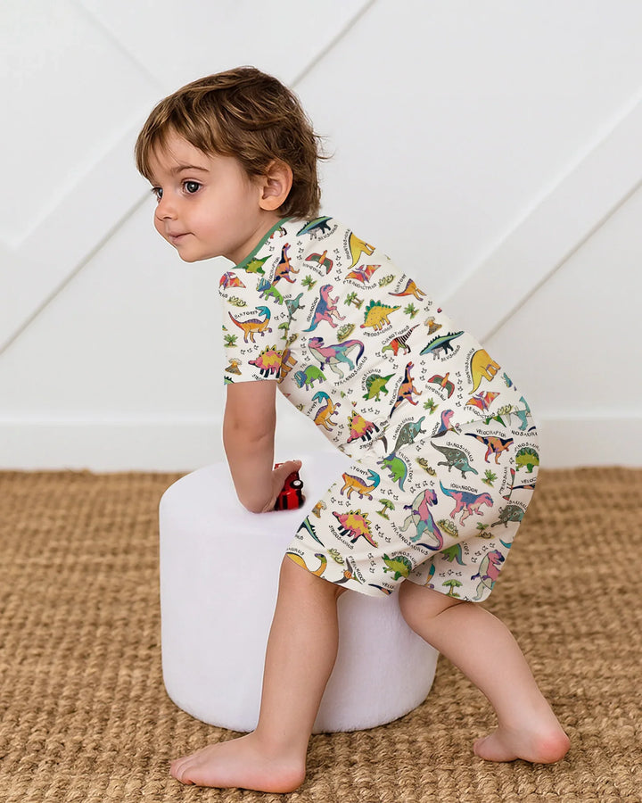 All The Dino Types Bamboo Two Piece Short Sleeve Shorts Pajama Set