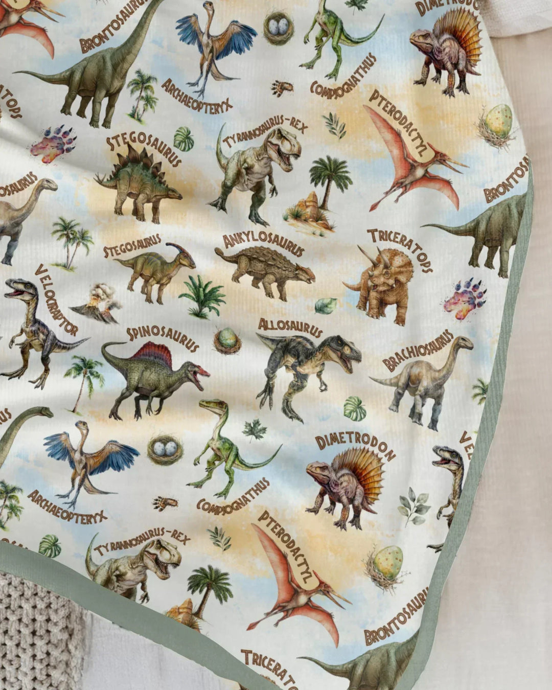 Dino Discovery Bamboo Blanket