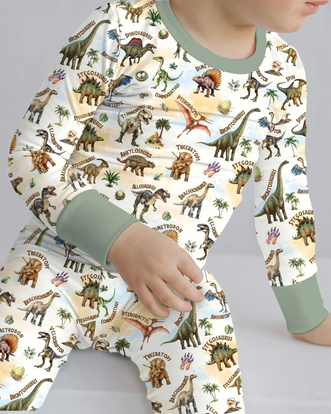 Dino Discovery Bamboo Two Piece Long Sleeve Pajama Set