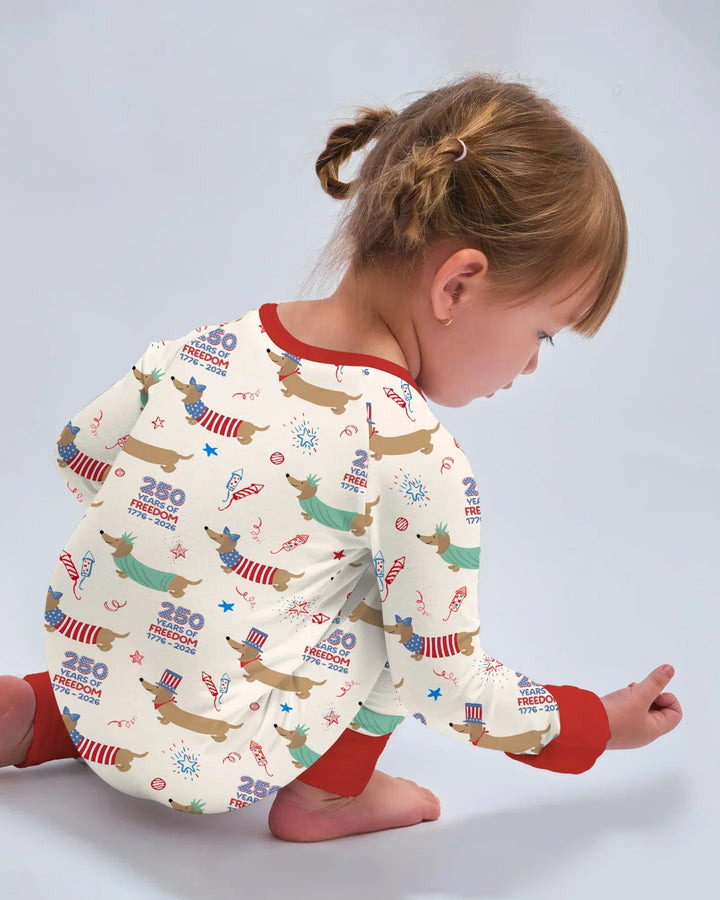 250 Years Of Freedom Convertible Zippy