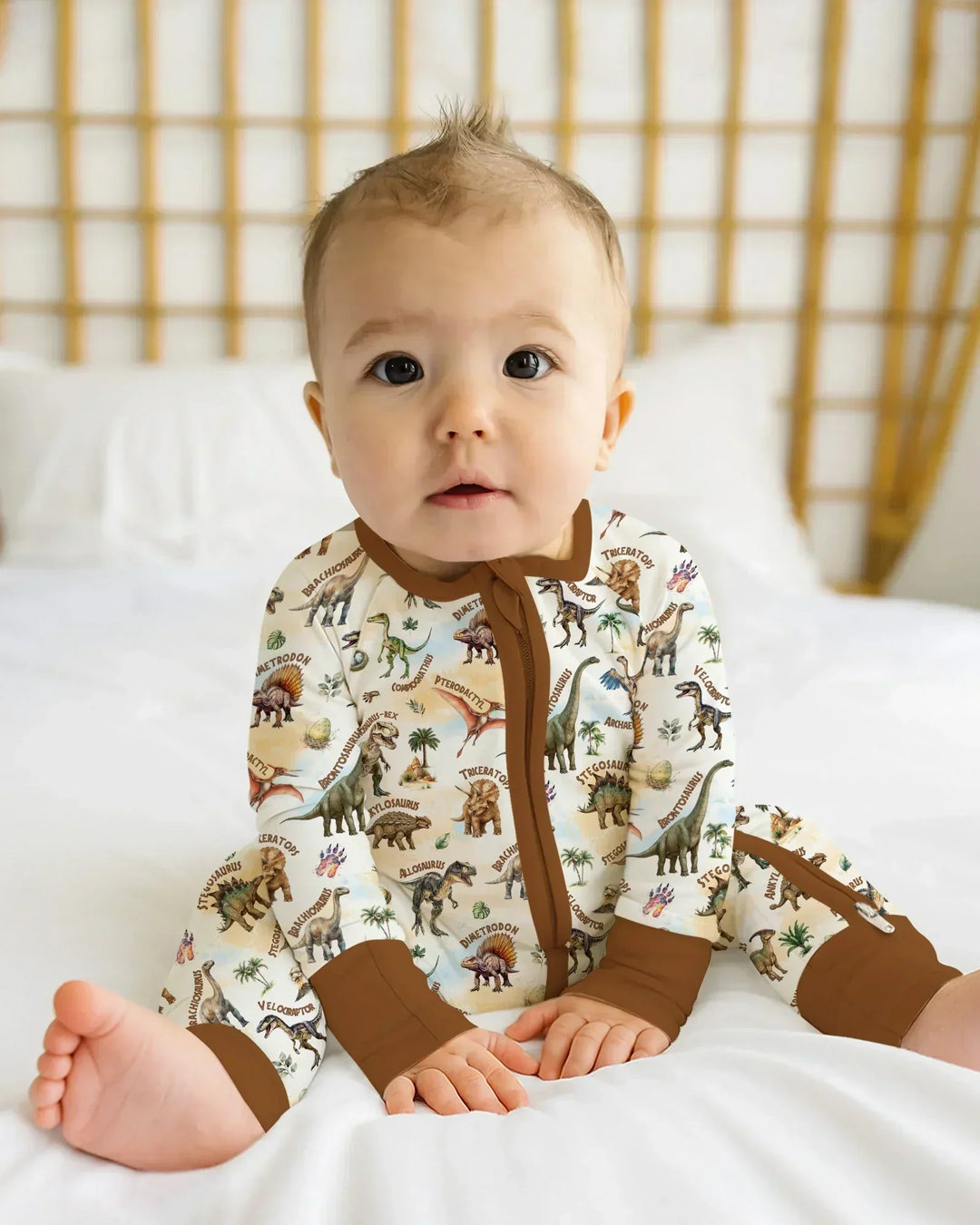 Dino Discovery Bamboo Convertible Zippy