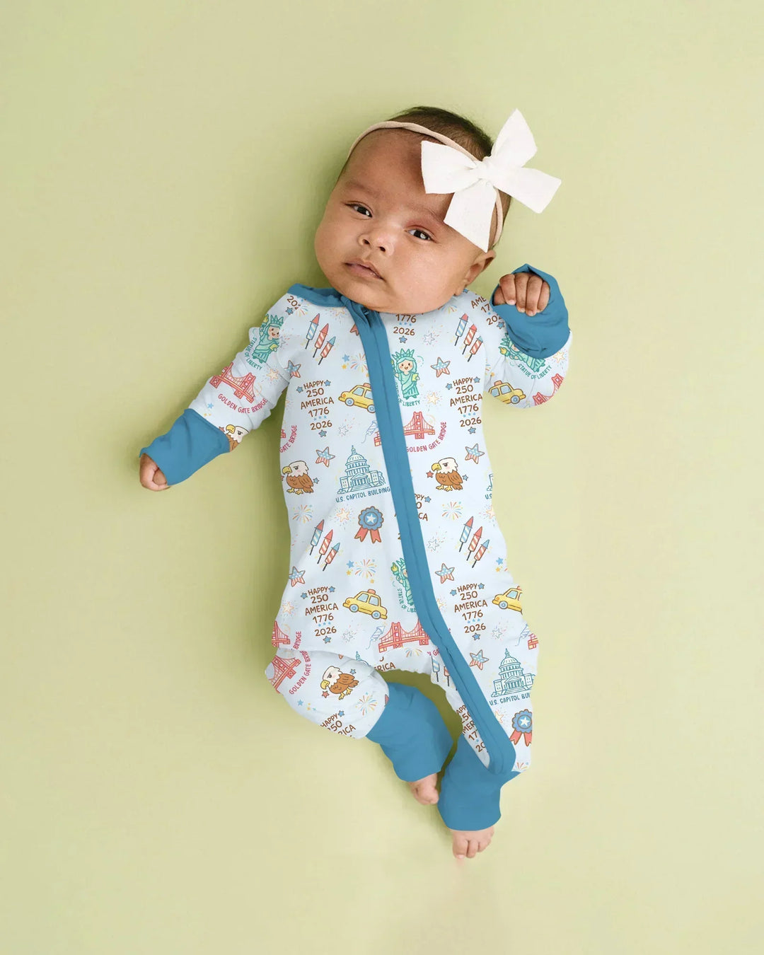 250 Years Of Freedom Convertible Zippy