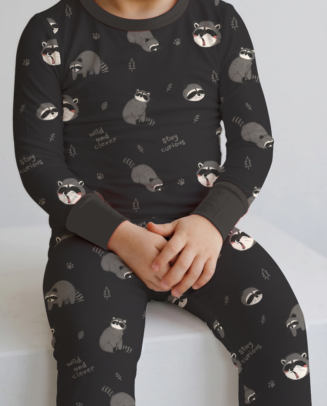 Wild And Clever Raccoons Bamboo Two Piece Long Sleeve Pajama Set