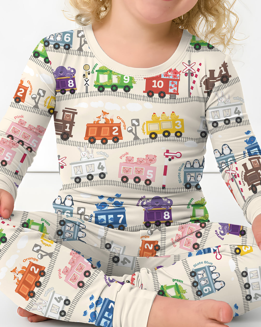 Color Train Bamboo Two Piece Long Sleeve Pajama Set