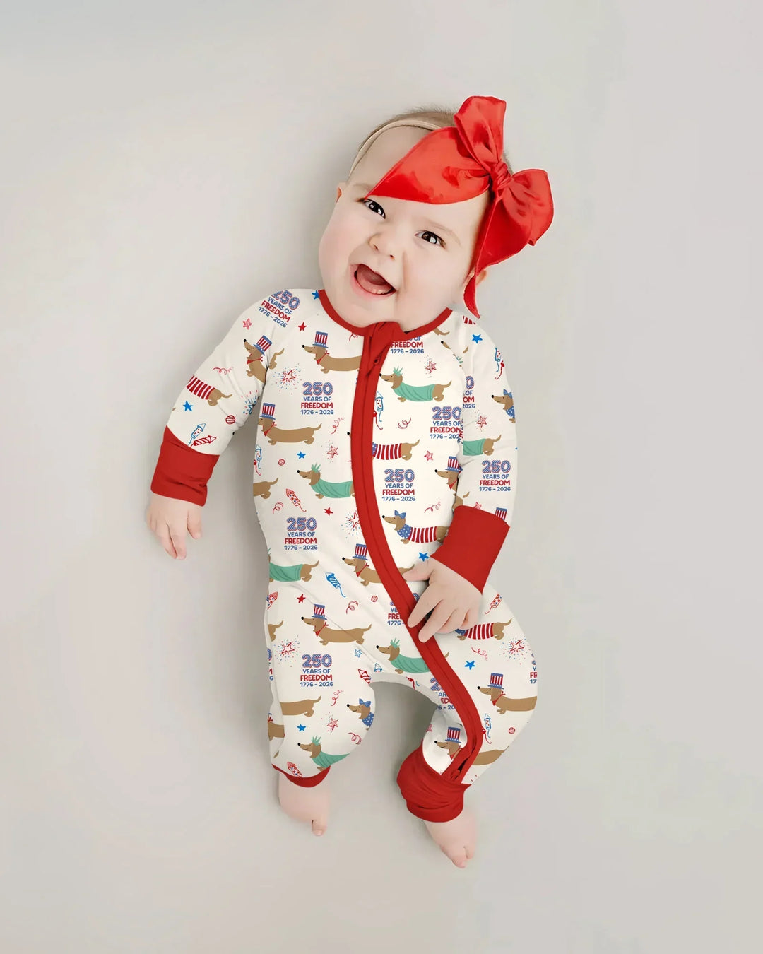 250 Years Of Freedom Convertible Zippy