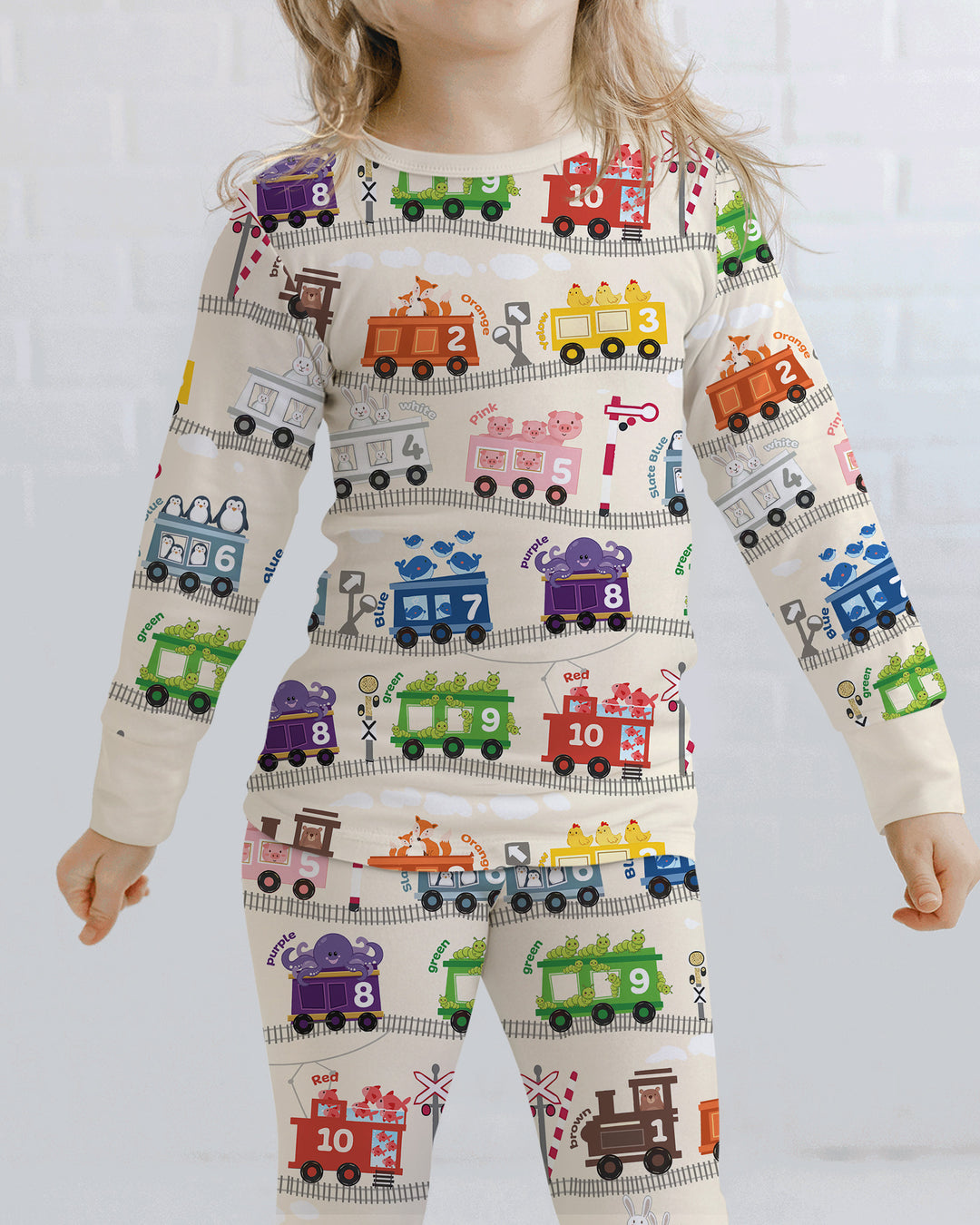 Color Train Bamboo Two Piece Long Sleeve Pajama Set