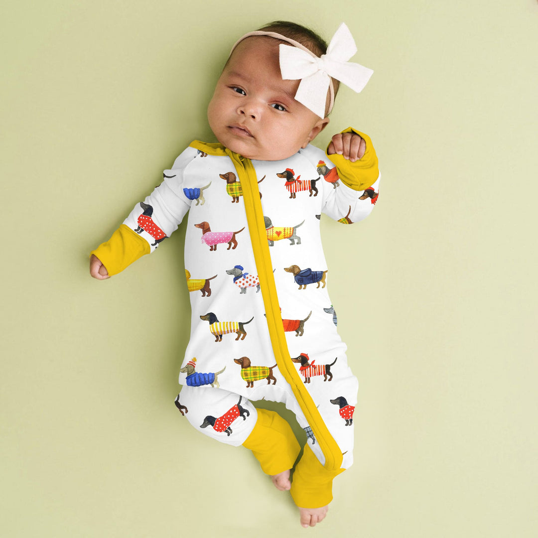 Dachshund Fashion Winnier Convertible Zippy