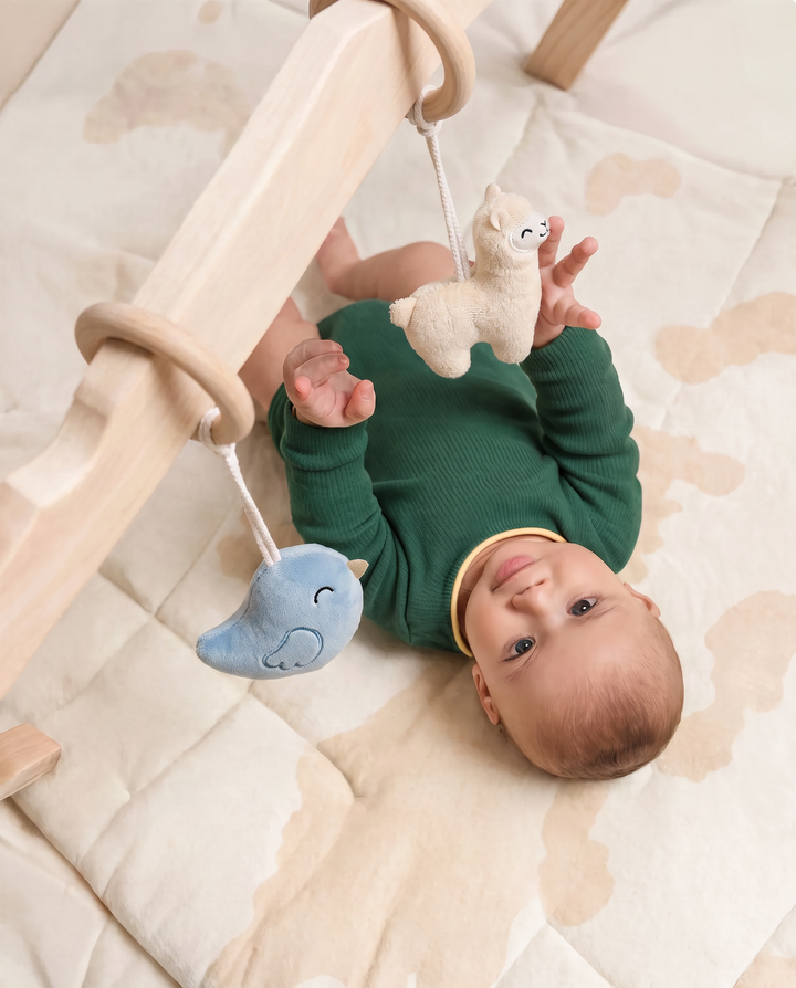 Little Farm Wooden Baby Gym