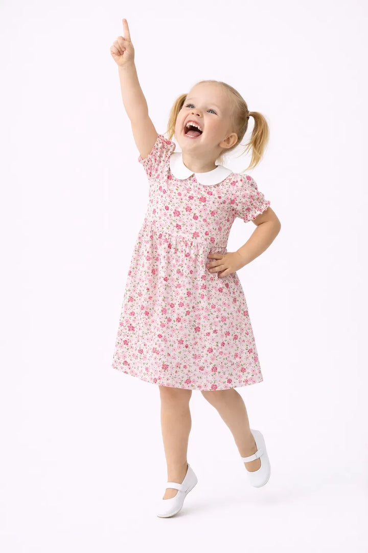 Zartrosa Vintage Blumenmuster Bambus Peter-Pan-Kragen-Kleid