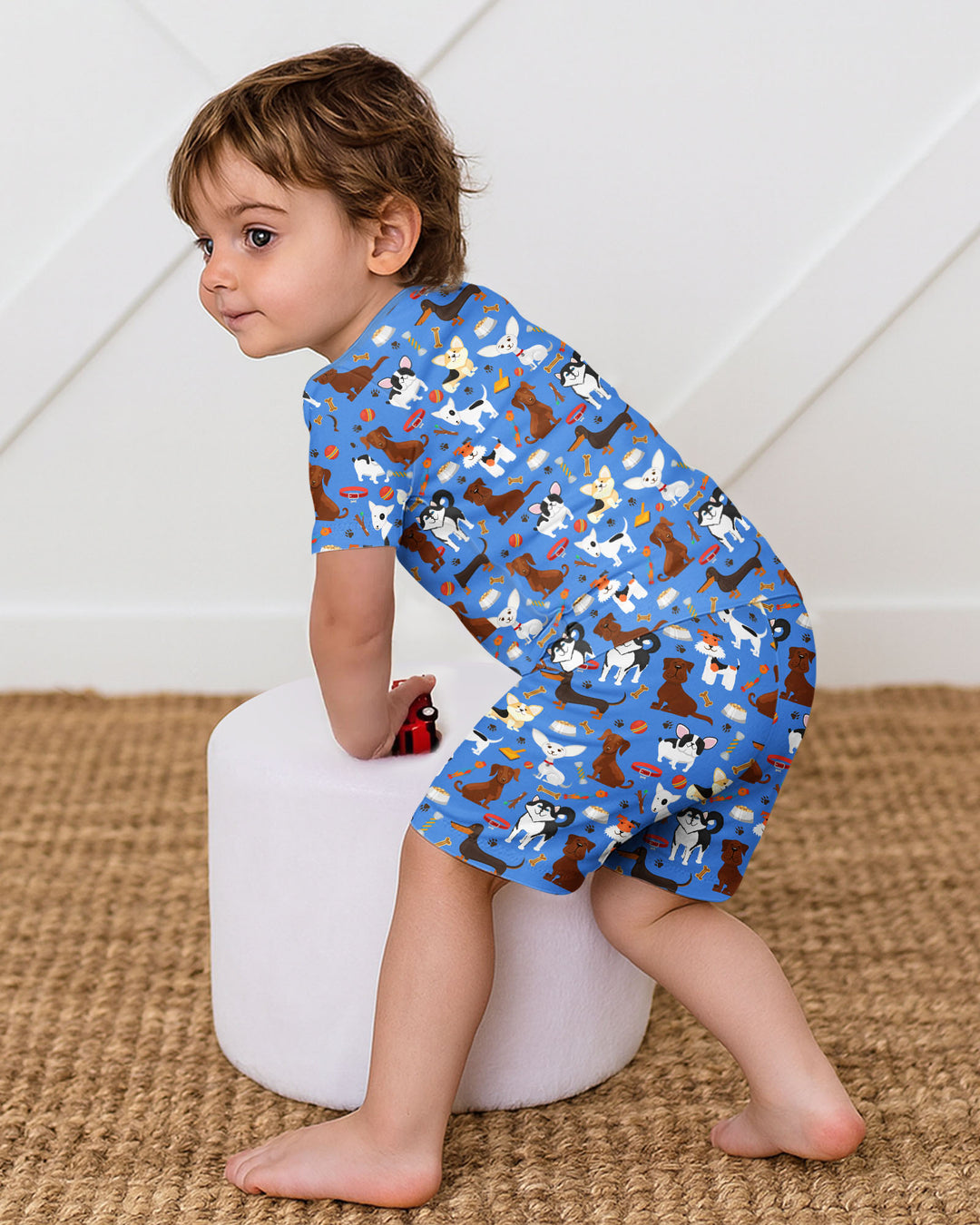 Dapper Dogs Bamboo Two Piece Short Sleeve Shorts Pajama Set