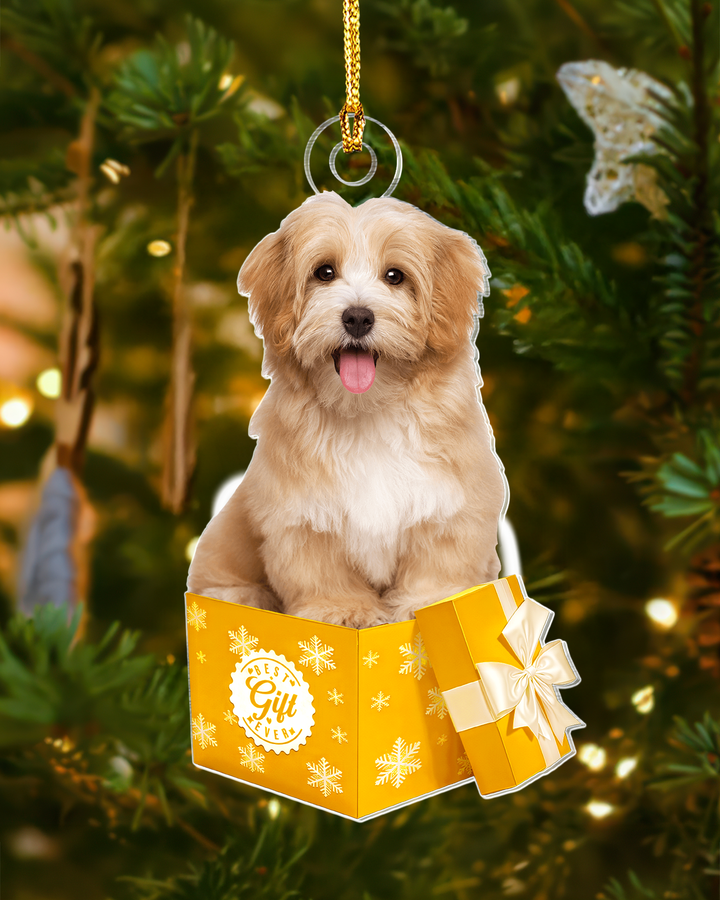 Best Gift Ever- Photo Upload Acrylic Ornament