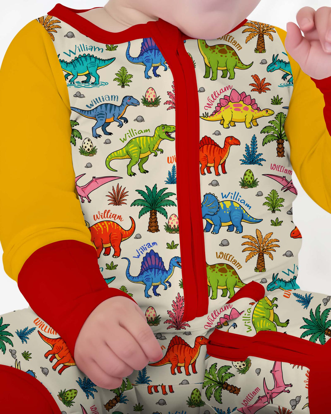 Dino Field Guide Custom Name Bamboo Convertible Zippy