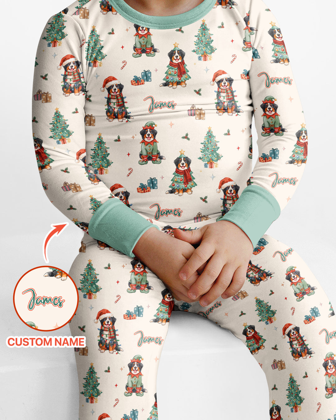 Christmas Bernese Mountain Dog Family Matching Bamboo Two Piece Long Sleeve Pajama Set