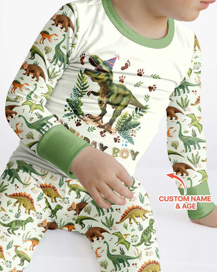 Dinosaur Birthday Boy Bamboo Two Piece Long Sleeve Pajama Set