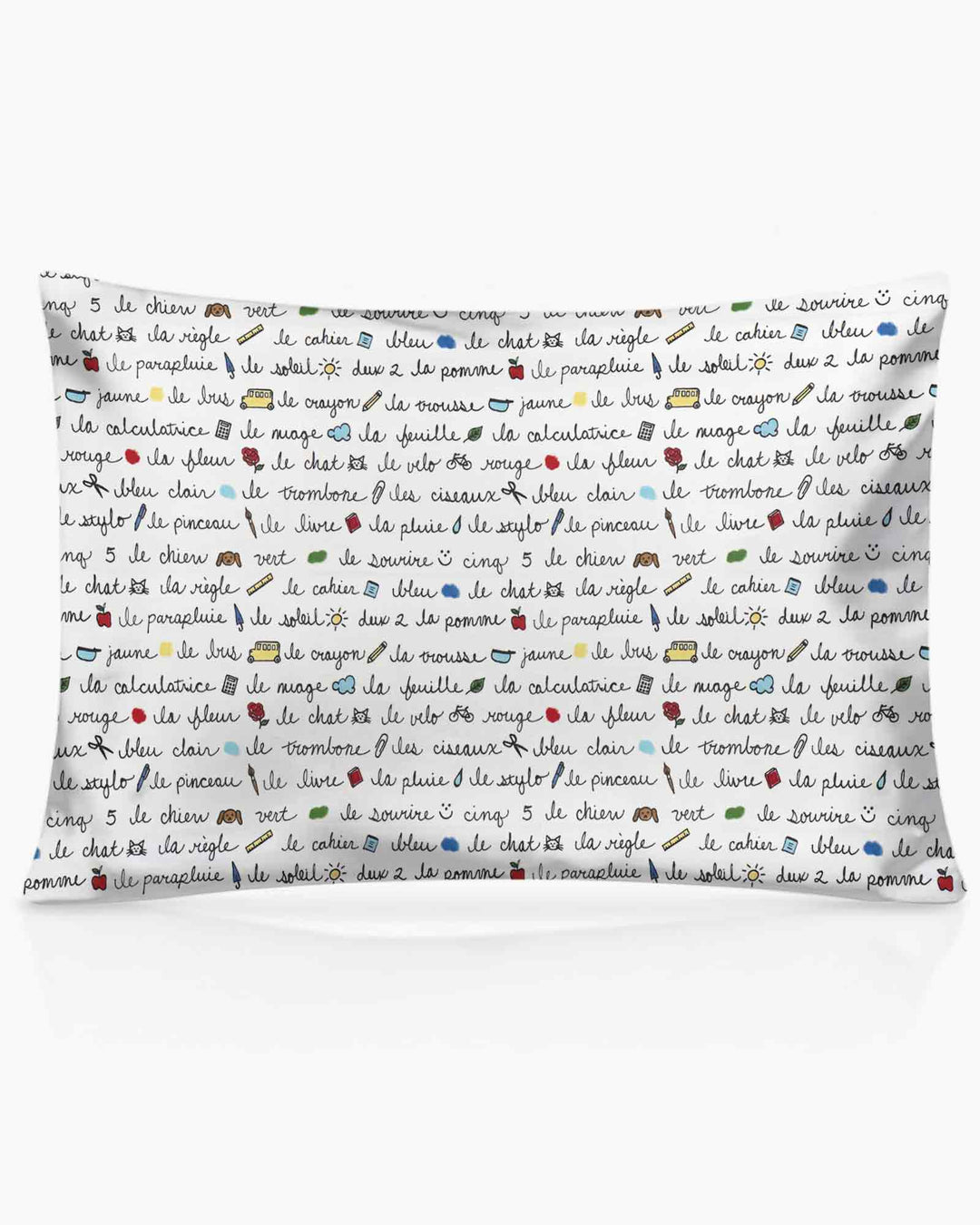 French Classroom Notes Bamboo Pillow Case