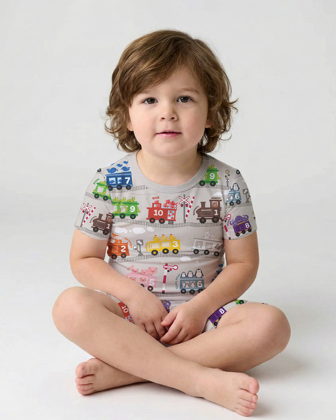 Color Train Bamboo Two Piece Short Sleeve Shorts Pajama Set