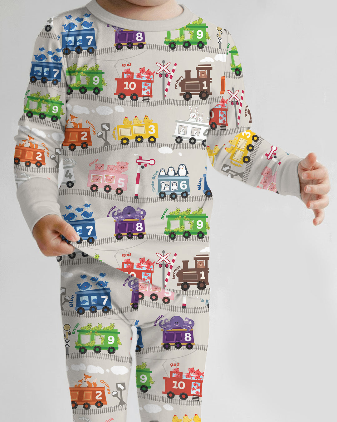 Color Train Bamboo Two Piece Long Sleeve Pajama Set