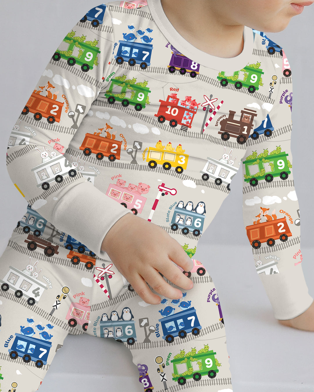 Color Train Bamboo Two Piece Long Sleeve Pajama Set