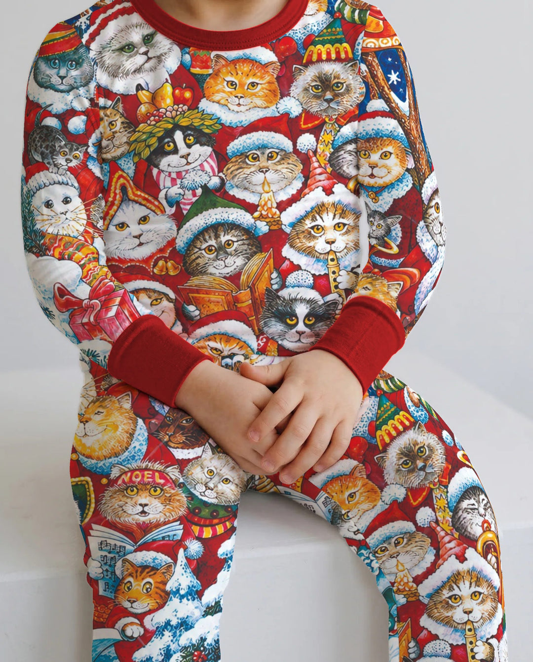Cat Wears Noel Hat Bamboo Two Piece Long Sleeve Pajama Set
