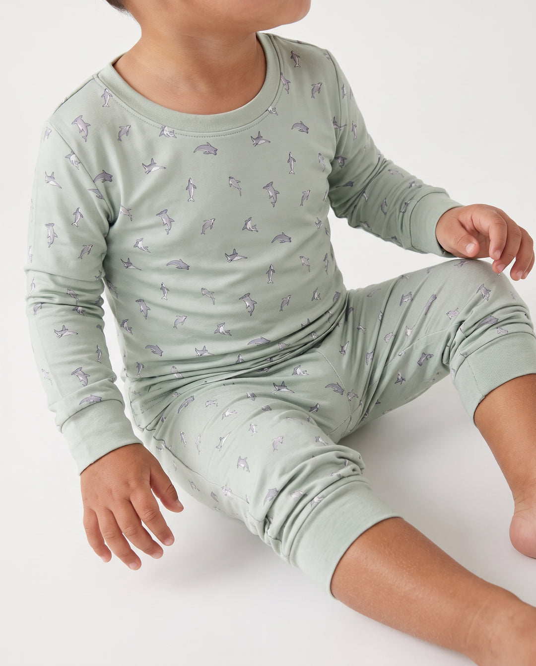 Seafoam Dolphin Dance Bamboo Two Piece Long Sleeve Pajama Set